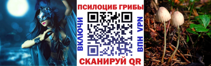 Псилоцибиновые грибы Magic Shrooms  площадка официальный сайт  Азнакаево  где продают наркотики 